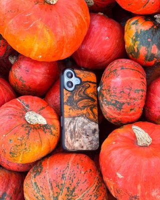 Wenn sich ein Kürbis eine Hülle aussuchen könnte…würde er diese wählen. 🎃 Halloween-Vibes, herbstliche Farben und ein...